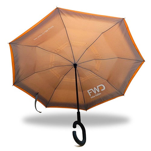 DÙ NGƯỢC V2