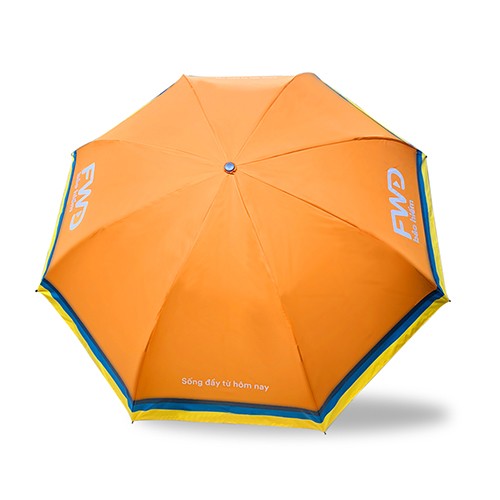 DÙ NGƯỢC V2